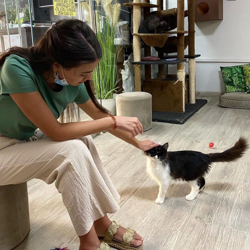 Pet cafes in Dubai and Abu Dhabi Pet cafes in Dubai and Abu Dhabi